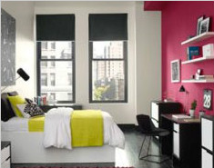 Add Color with an Accent Wall 添加顏色與背景墻